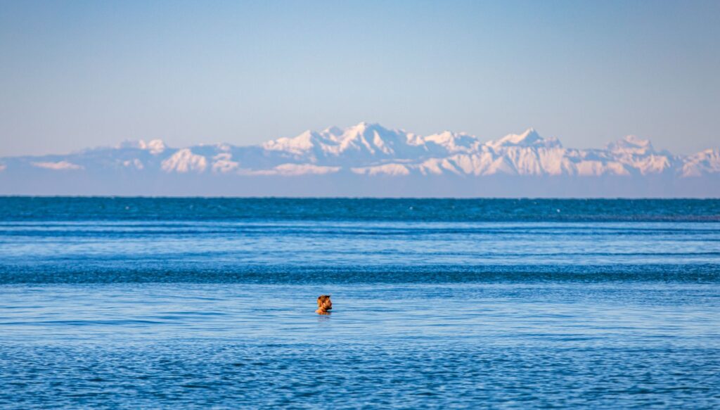 Odkrijte blagodejne učinke morske vode v Portorožu in Piranu