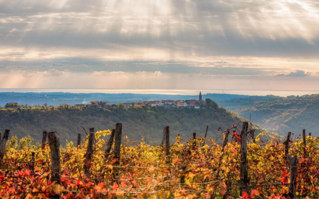 Spoznajte pristne istrske vasice