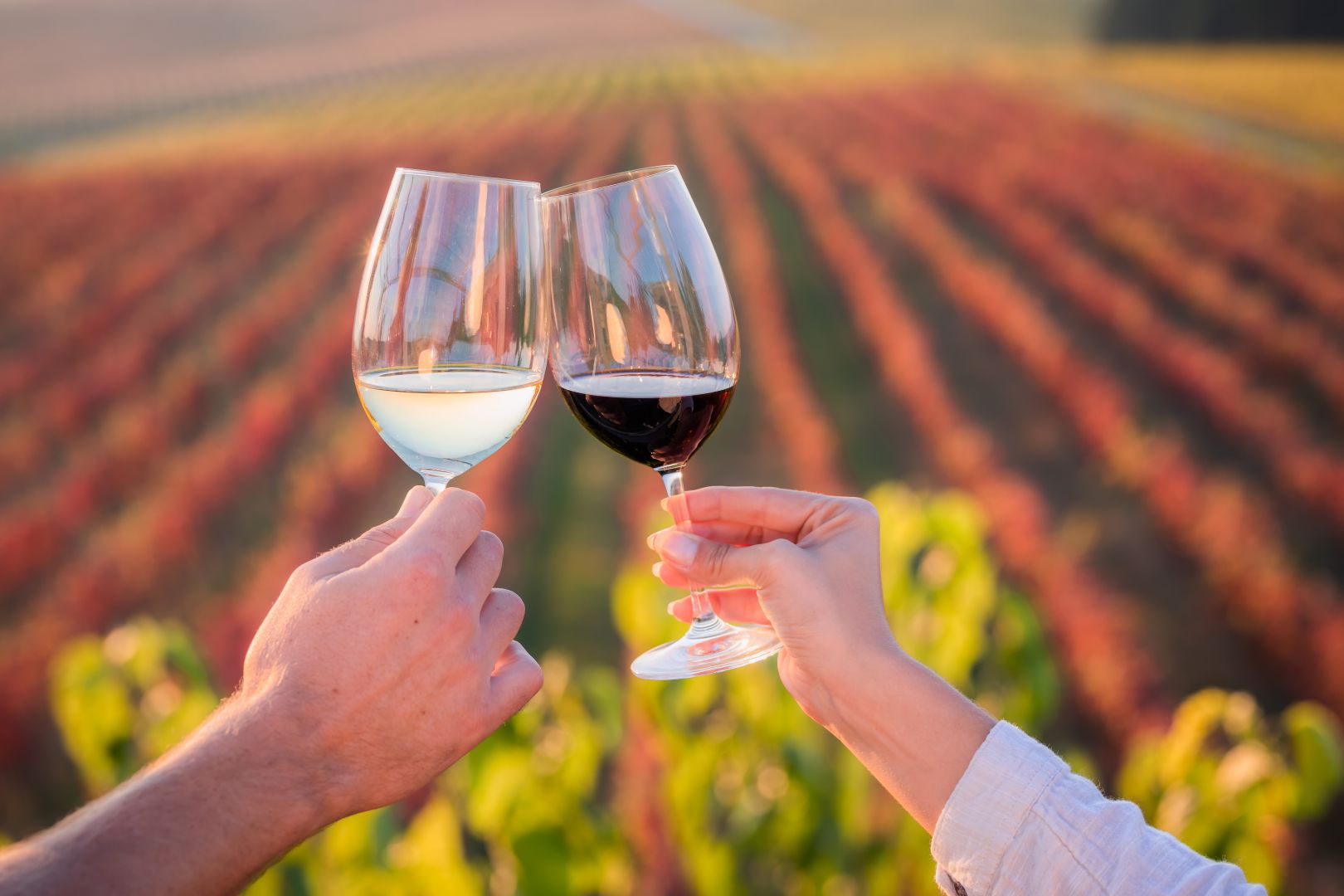 Atlas Express d.o.o.