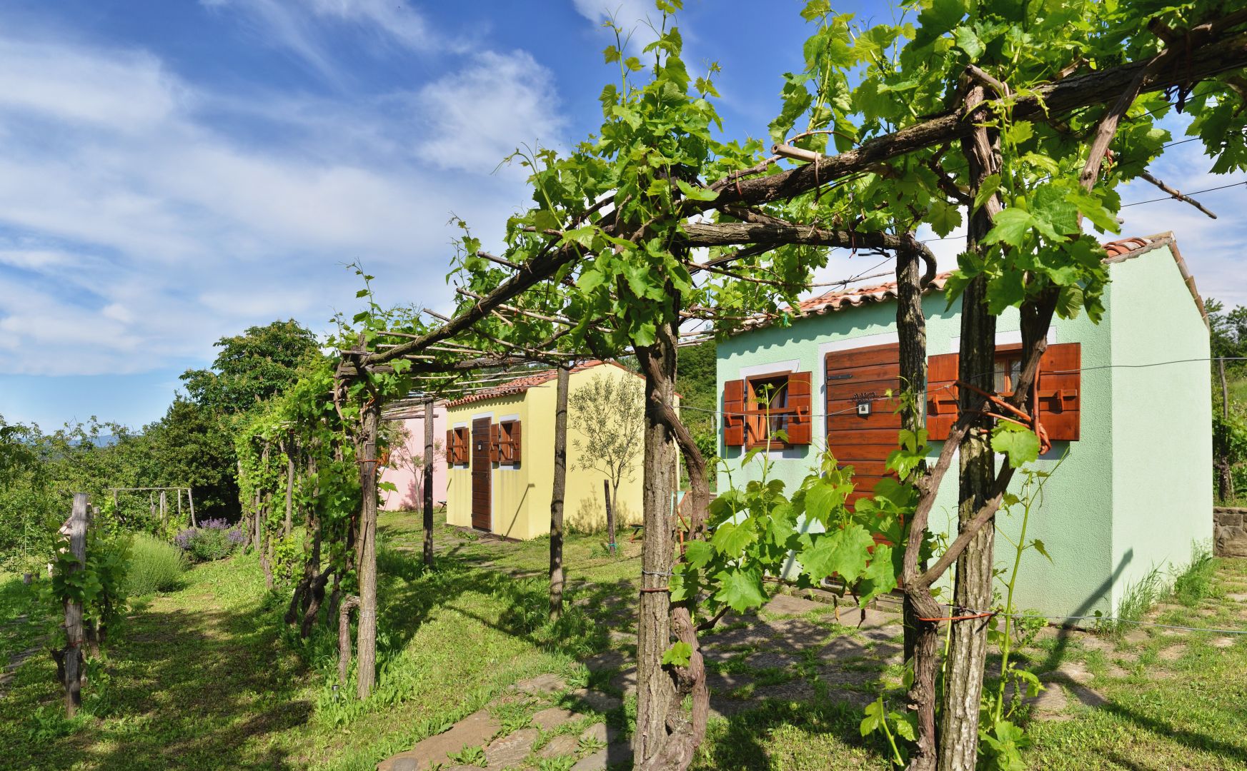 Guesthouse Green Istria