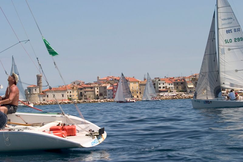 Jadralni klub: Jadralna zveza Slovenije