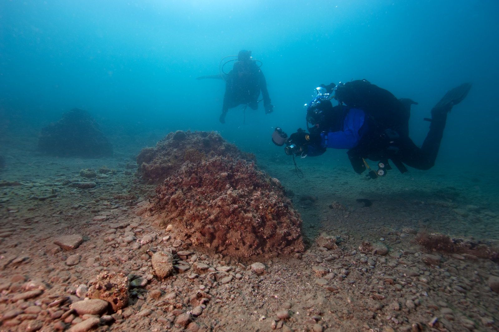 Morska biološka postaja