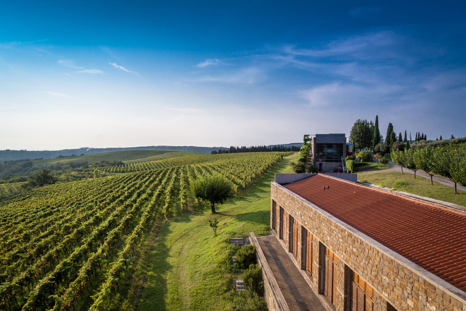Cantina vinicola Brič
