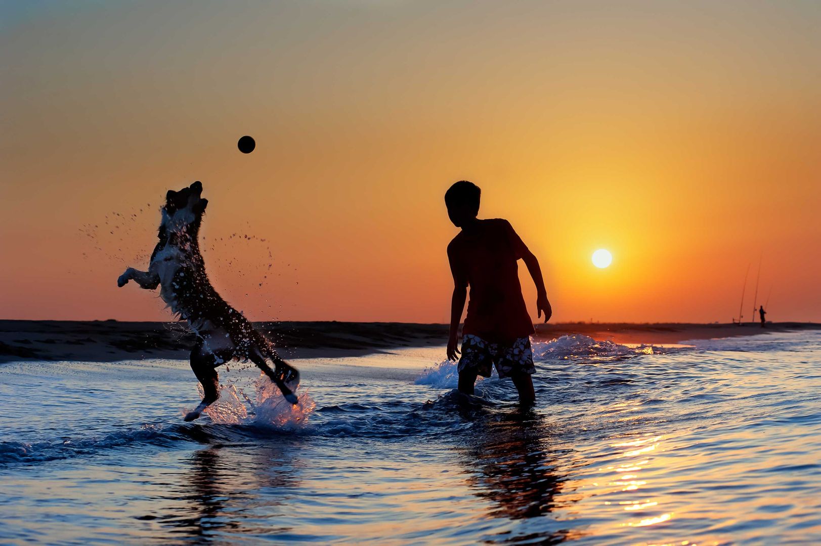 Spiaggia per cani