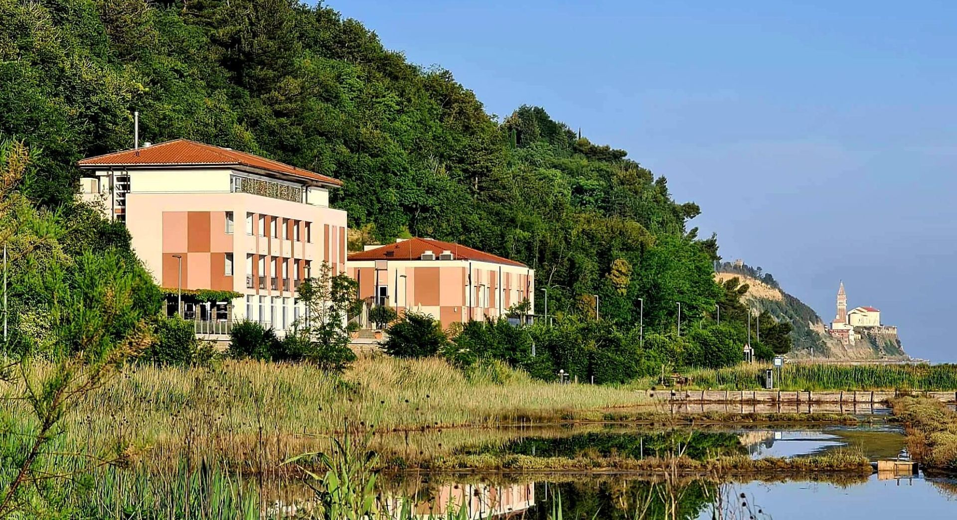 Hotel Lavender