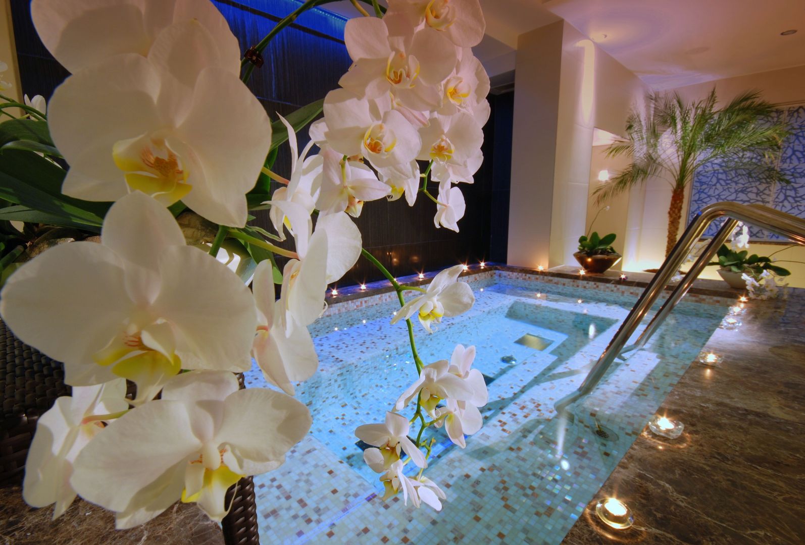 Wellness Rose Spa