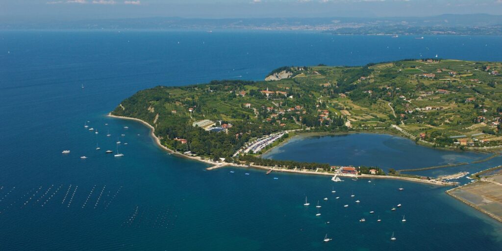 Oddih v Talasu Strunjan