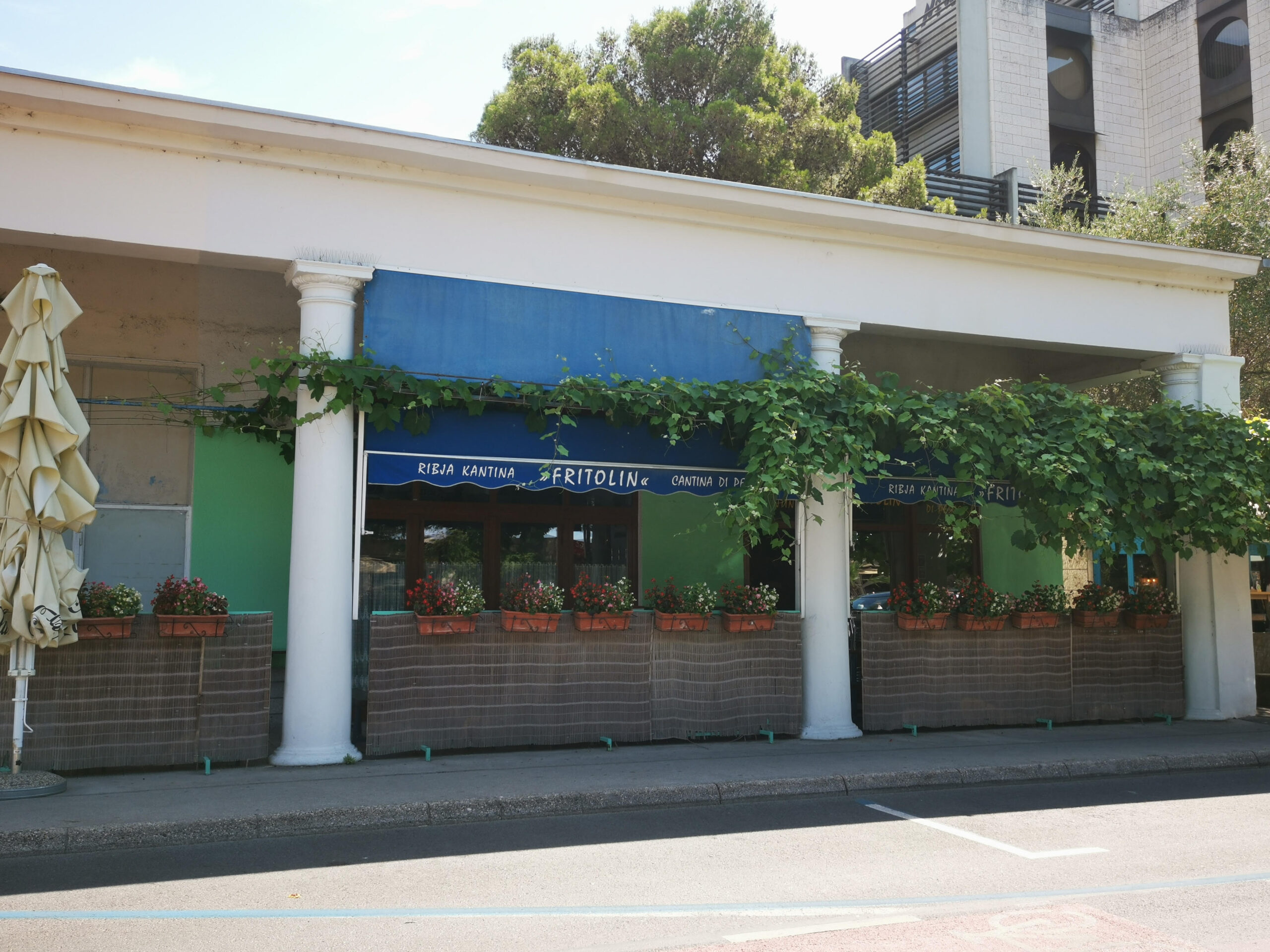 Mensa del pesce Fritolin