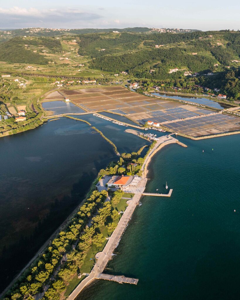 Vabilo na spletno predstavitev Slovenske turistične organizacije: pridobitev znaka Slovenia Green