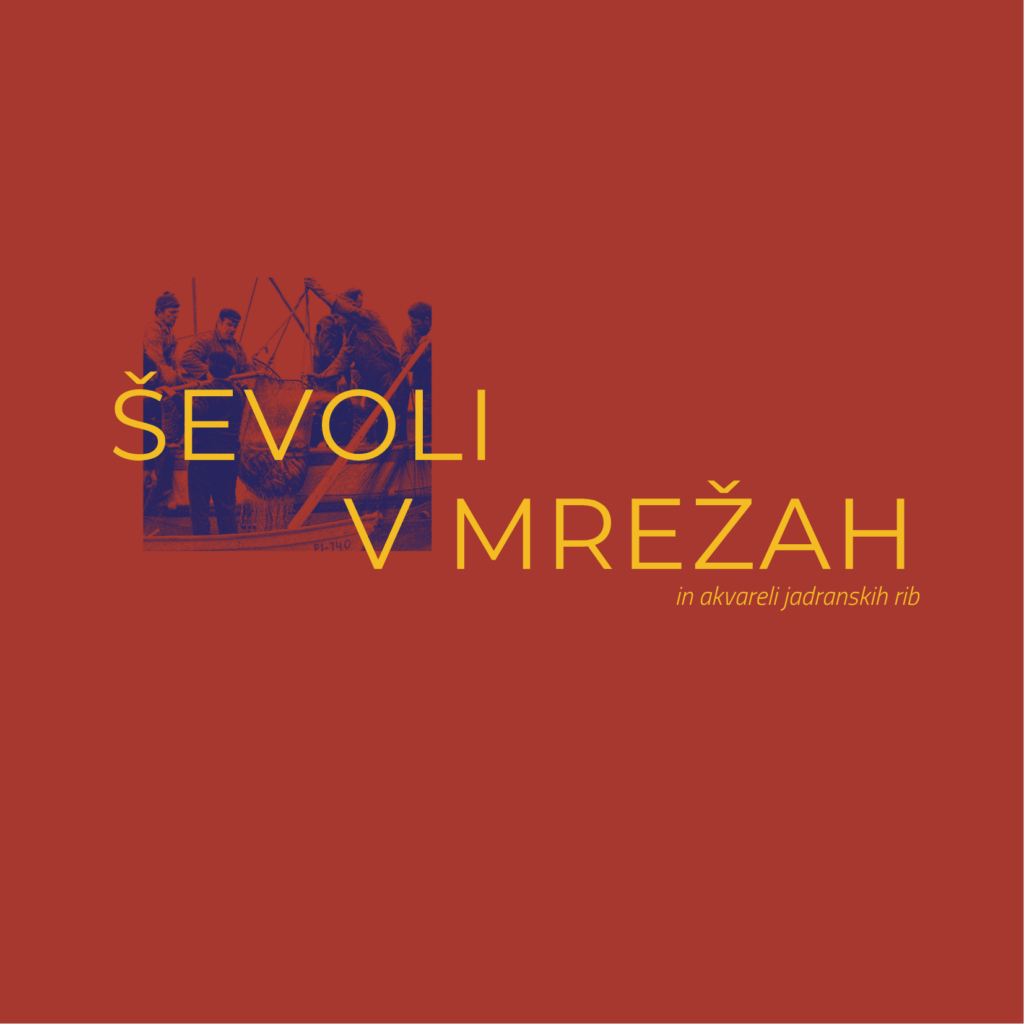 Ševoli v mrežah – tradicionalni lov na ciplje in akvareli jadranskih rib