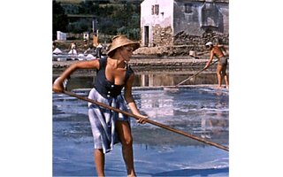 Kino Istra: Dekle iz solin (Kruh in sol) / La ragazza della Salina