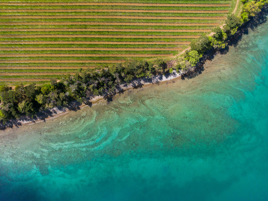 4° Forum turistico dell’Istria ad Ancarano