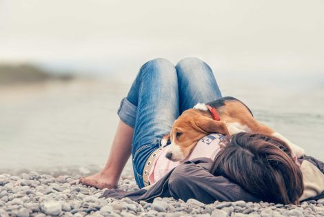 Urlaub mit einem Hund