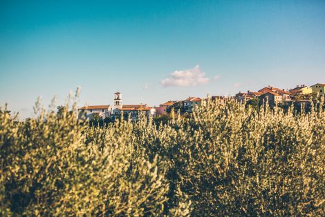 Tourismusvereine