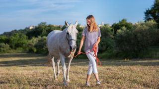 Reiten