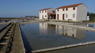 Salinenhaus