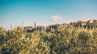 Tourismusvereine