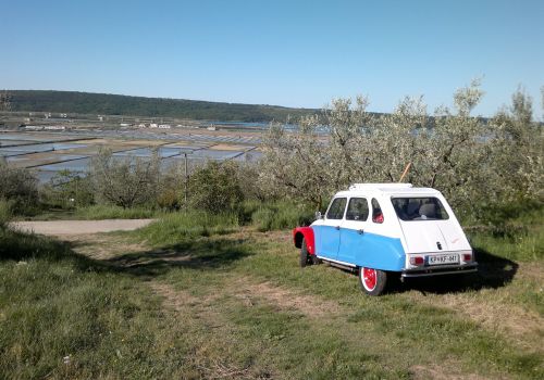 /default/dozivetja/Laganini/