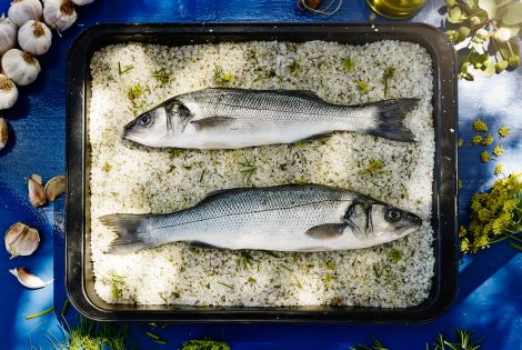 Piran sea bass in salt