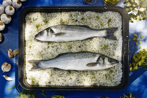 Piran's sea bass in salt