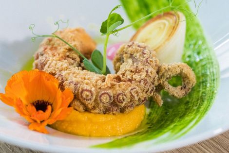 Fried octopus in olive oil