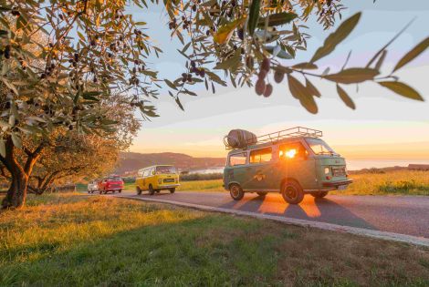 Lisjak, Vintage Gourmet Tour