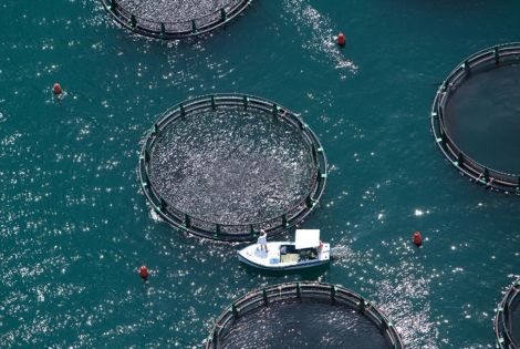 Fonda fish garden - your next unforgettable day