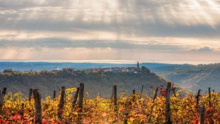 Slovenian Istria