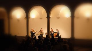 What's happening in Piran?