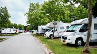 Camps