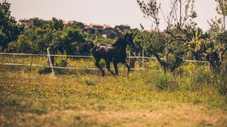 Tourism farms