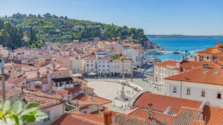 Hire a local tourist guide