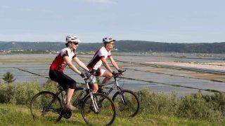 Far and wide by bike