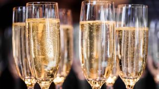 Sparkling wine festival