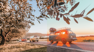 Lisjak, Vintage Gourmet Tour