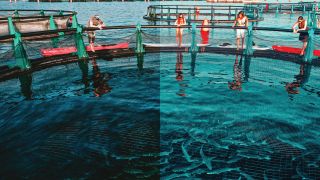 Fonda fish garden - your next unforgettable day