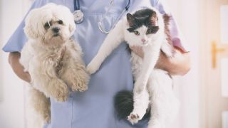 Veterinary hospitals