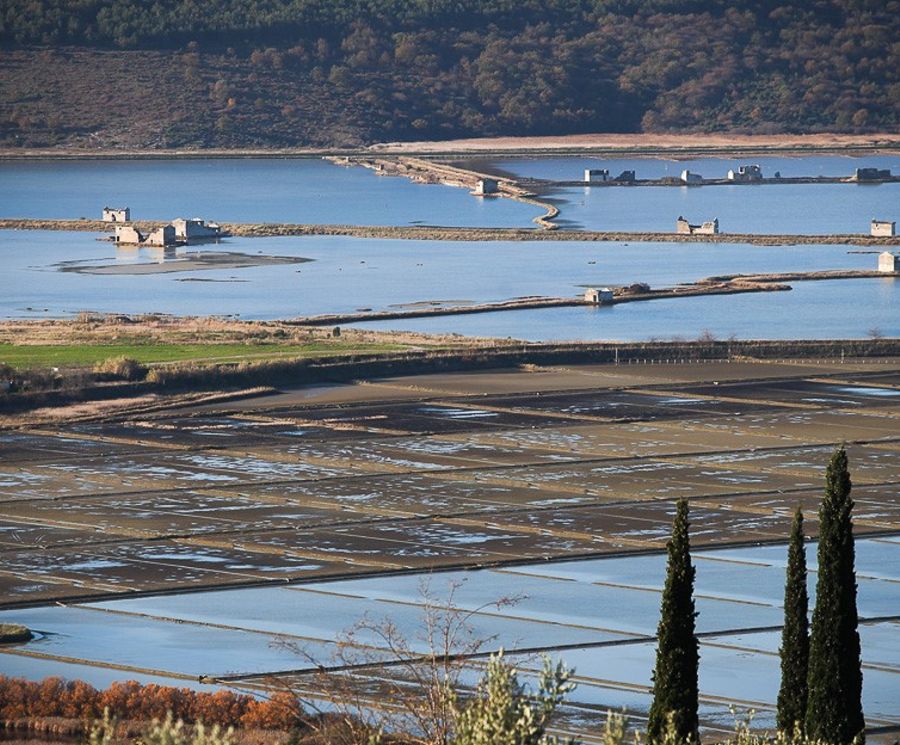 Experience Slovenian Istria on the waves of the Adriatic sea