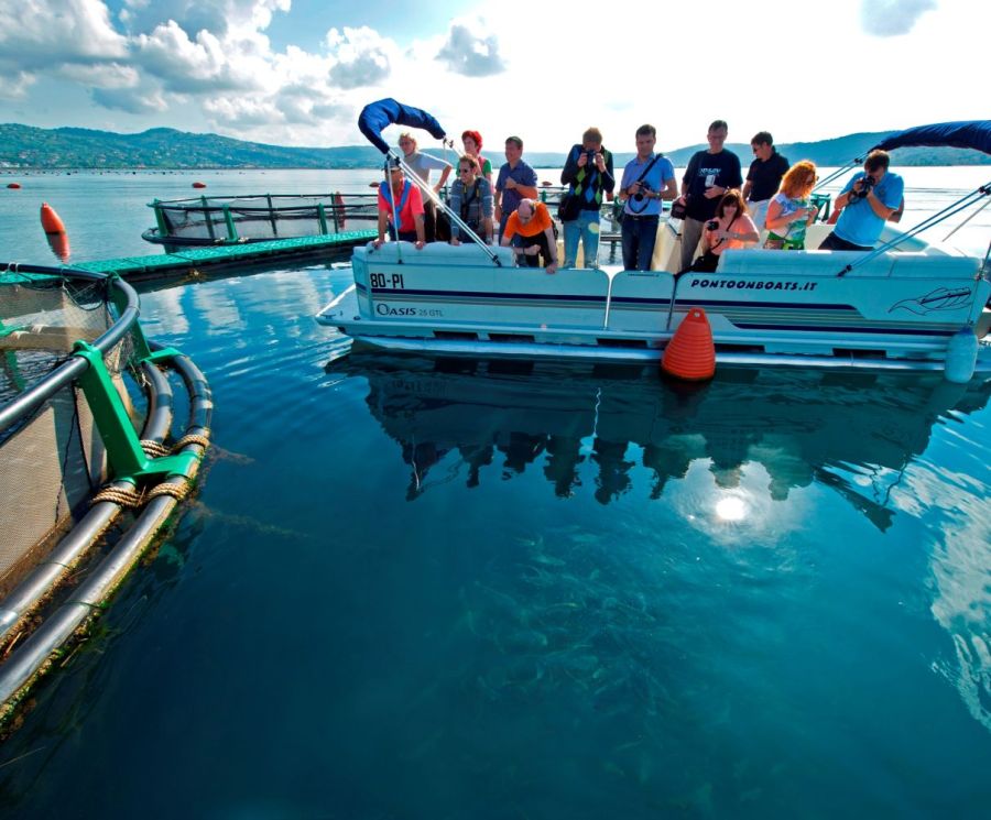 Guided tours of the Fonda fish farm
