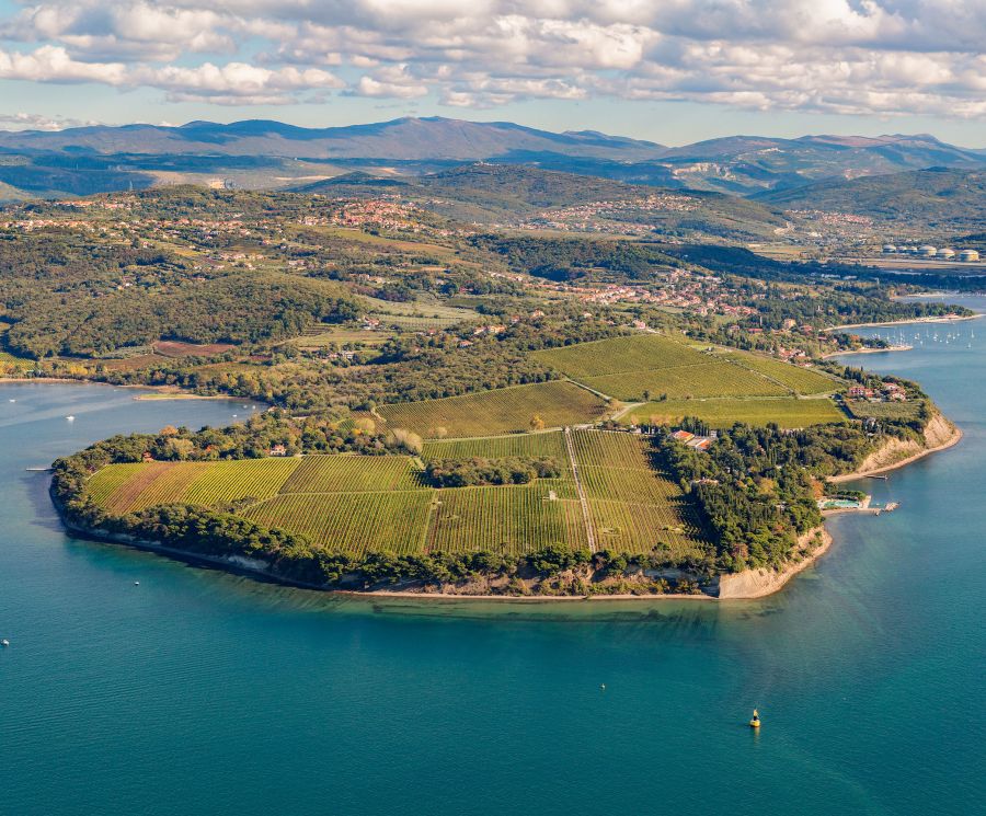 Discovering Debeli rtič (the cape)