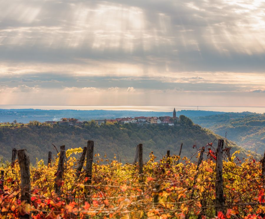 Istrian Villages – Padna
