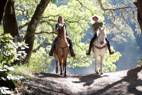 Percorsi a cavallo