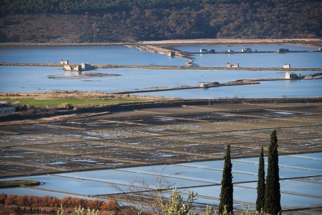 Esperienze per i più attivi