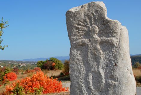 Il percorso del bovino istriano, il bue boscarino