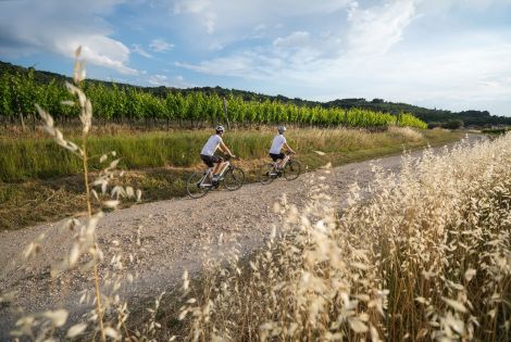 Stravaganza in bici elettrica
