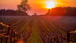 Autunno