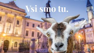 Pravilnik