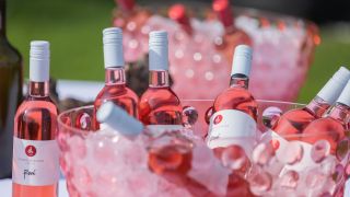 Ponudba vin rosé