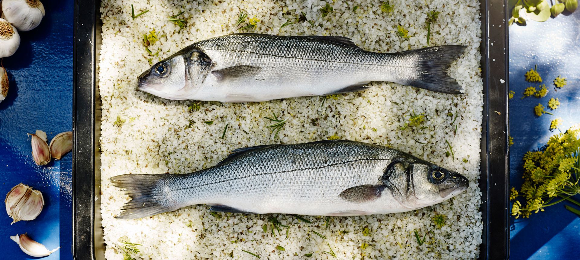 Piranski brancin v soli